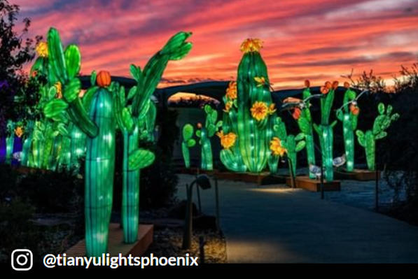 holiday lights in Phoenix