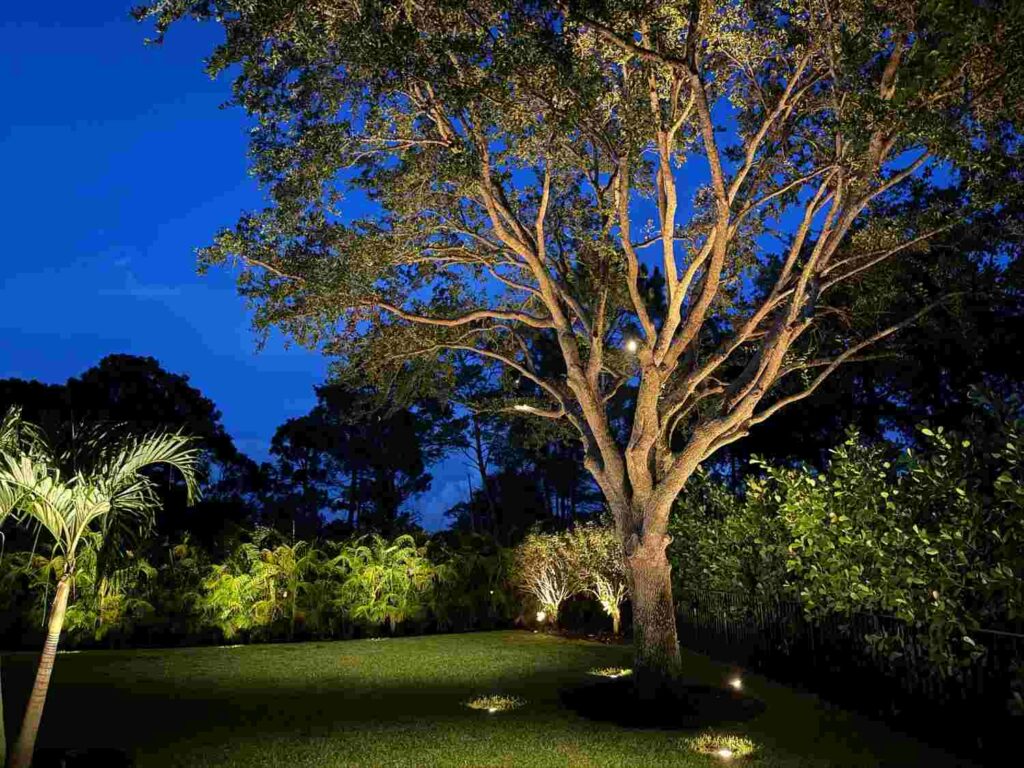 best outdoor landscape lighting ideas