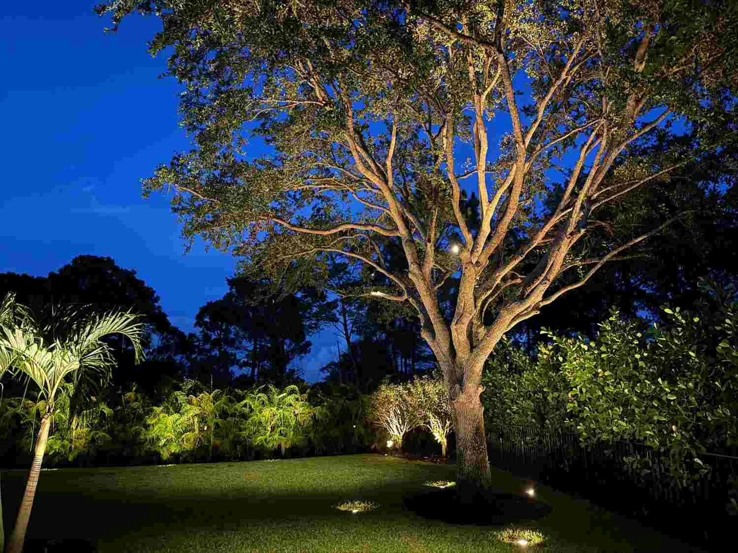 best outdoor landscape lighting ideas